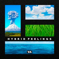 HYBRID FEELINGS