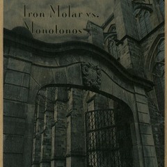 Out Of The Woods For Just A Few Days