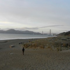 Birdsong Jam Into Fennario