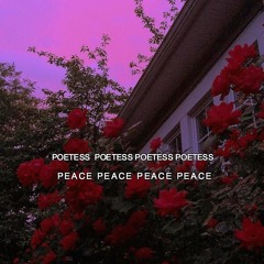 Poetess x Peace