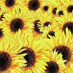 Sunflower (prod by. Tony Sharp)