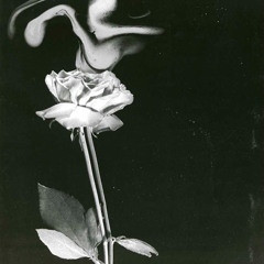 Jenova IO - 2 Cloodhounds (ft. DR-15)