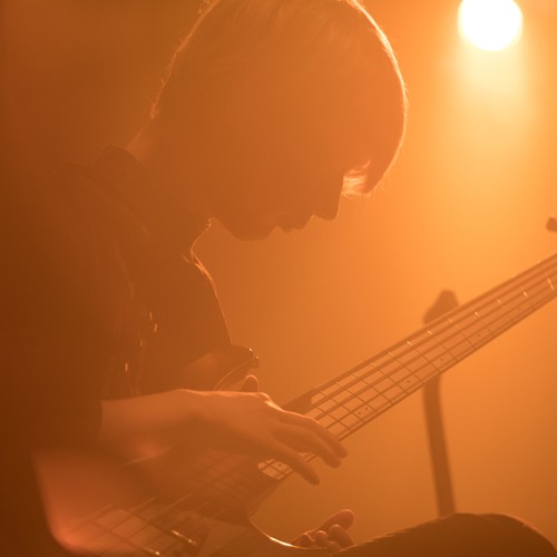 TORIENA - Pulse Fighter Bass Cover?