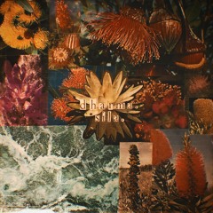 sadhana