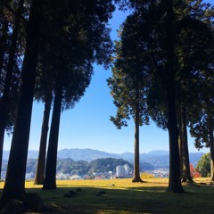 八月（七尾旅人）