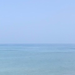 Porcelain - Miguel cover