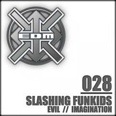 Slashing Funkinds - Imagination