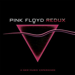 Comfortably Numb (Ketamine Version) (Pink Floyd cover)
