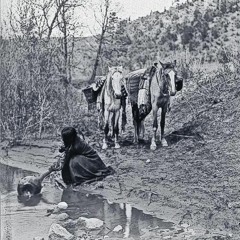 Colourless (live in studio)