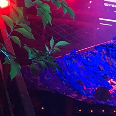 Pavlo Plastikk @ Arma Comes Closer