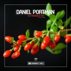 Daniel Portman - More Intensity (Original Club Mix)
