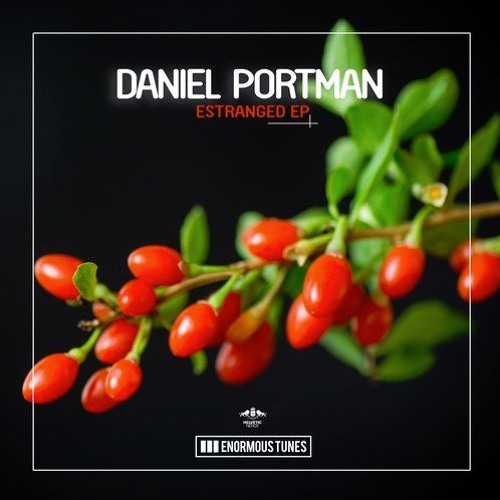 Daniel Portman - More Intensity (Original Club Mix)