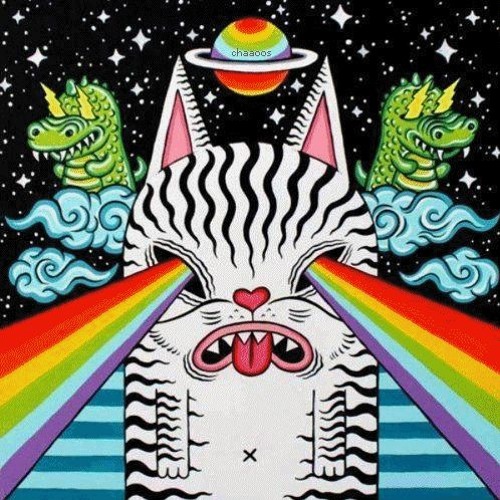 YokoFono - KOLEČKO