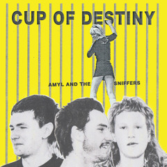 Amyl & The Sniffers Cup of Destiny