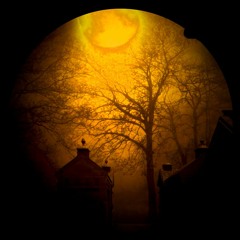 Paradox - Shadowmoon