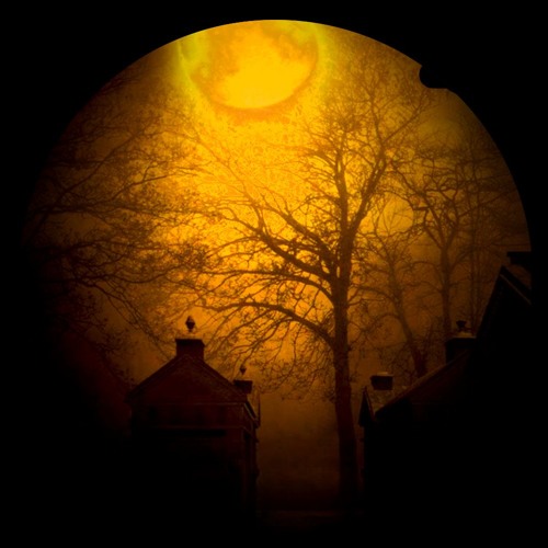 Paradox - Shadowmoon