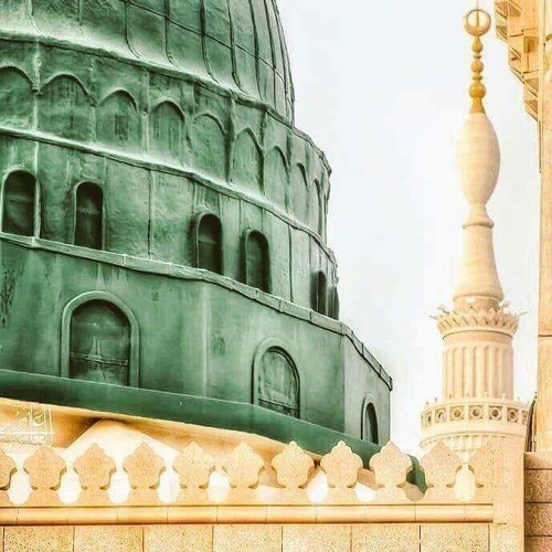 يا جميل يا سيدنا النبي - صلَّ اللّه على طه