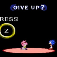 Sally.exe CN - Give up theme