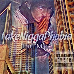 FakeNiggaPhobia