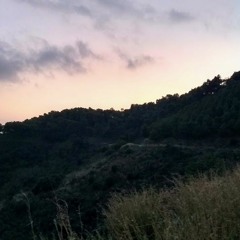 Singing crickets at sunset on mount Tibidabo