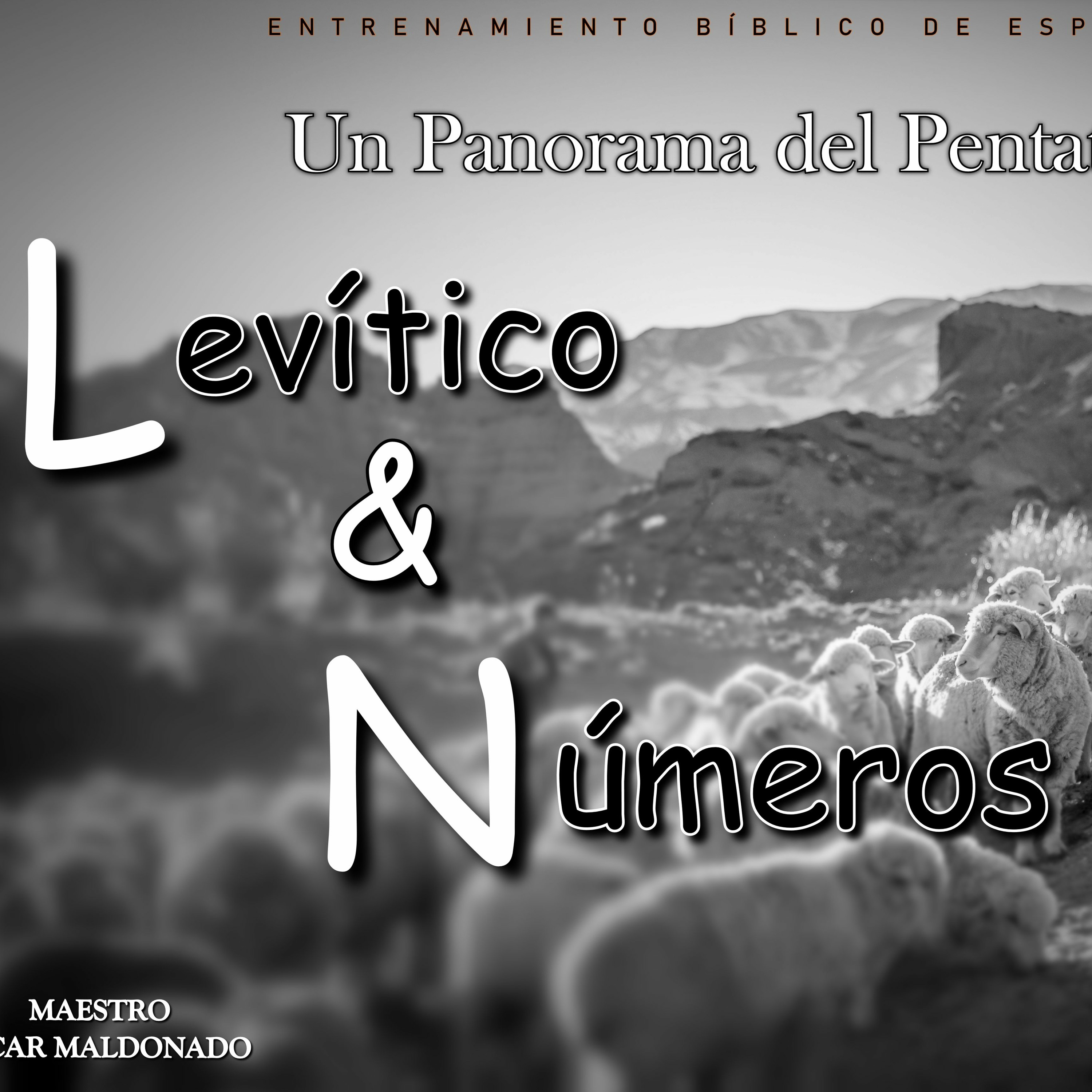 Ministerio Verso a Verso con Jesús