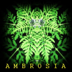 Ambrosia