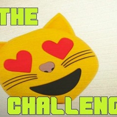 pussy challenge    why not lol