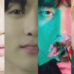 BTS SERENDIPITY EUPHORIA SINGULARITY EPIPHANY
