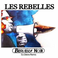 Les Rebelles (Berurier Noir - DJ Zebra remix)