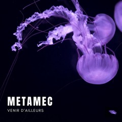 4 - La Tournée Du Patron