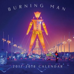 (techno) Burning Man 2016 mixed by Gagarin Beats ( @ Disorient )
