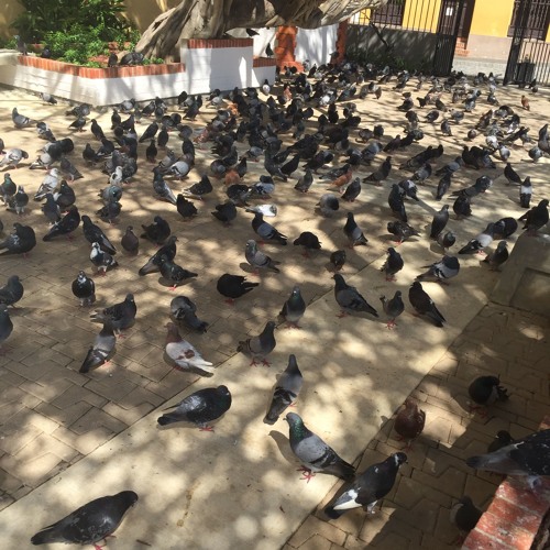 Let Me In (prod. Epure)