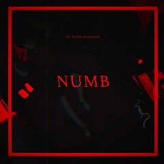 numb4ever
