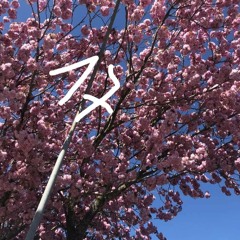 stay17 -PiaP,KatjaW,skardiff,LEVmitE,(FEAT. MARC Dosenbier)