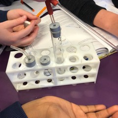 Ekte gullfisk intro XDXDXDXDDDDD