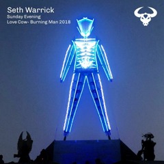 Seth Warrick - Sunday Evening - Love Cow Burning Man 2018