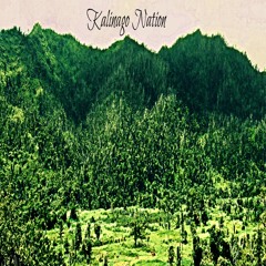 Chayah Studios- Kalinago Nation (AbiYah Yisrael)