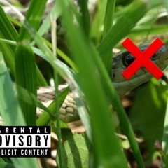 Snakes In My Grass Ft Boogie (Prod. by DariYEϟ) IG: 1800_Chubbs