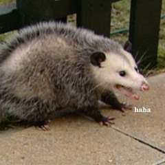 happoluuppi versio kolkyttonnii varmaa jo