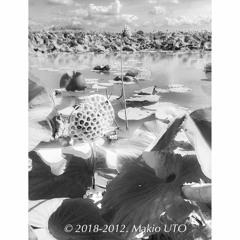 2013-soundscape of Japan, 冬の伊豆沼と渡り鳥、宮城県栗原市(バイノーラル・フィールドレコーディング by 自作ダミーヘッド)