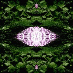 Surface Level (full doof session)