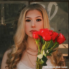 what did you think i meant