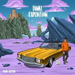 don't fight the funk