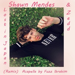 Shawn Mendes & Zedd - Lost In Japan (Remix Acapella)