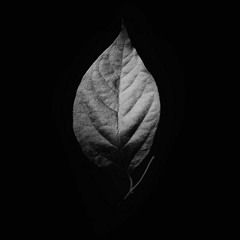 Völuspá (Wardruna Cover)