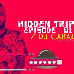 HIDDEN TRIP