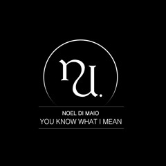 Noel Di Maio - You Know What I Mean (Original Mix) (SC Preview)