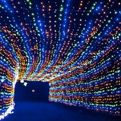 French Lover - Leave A Light On