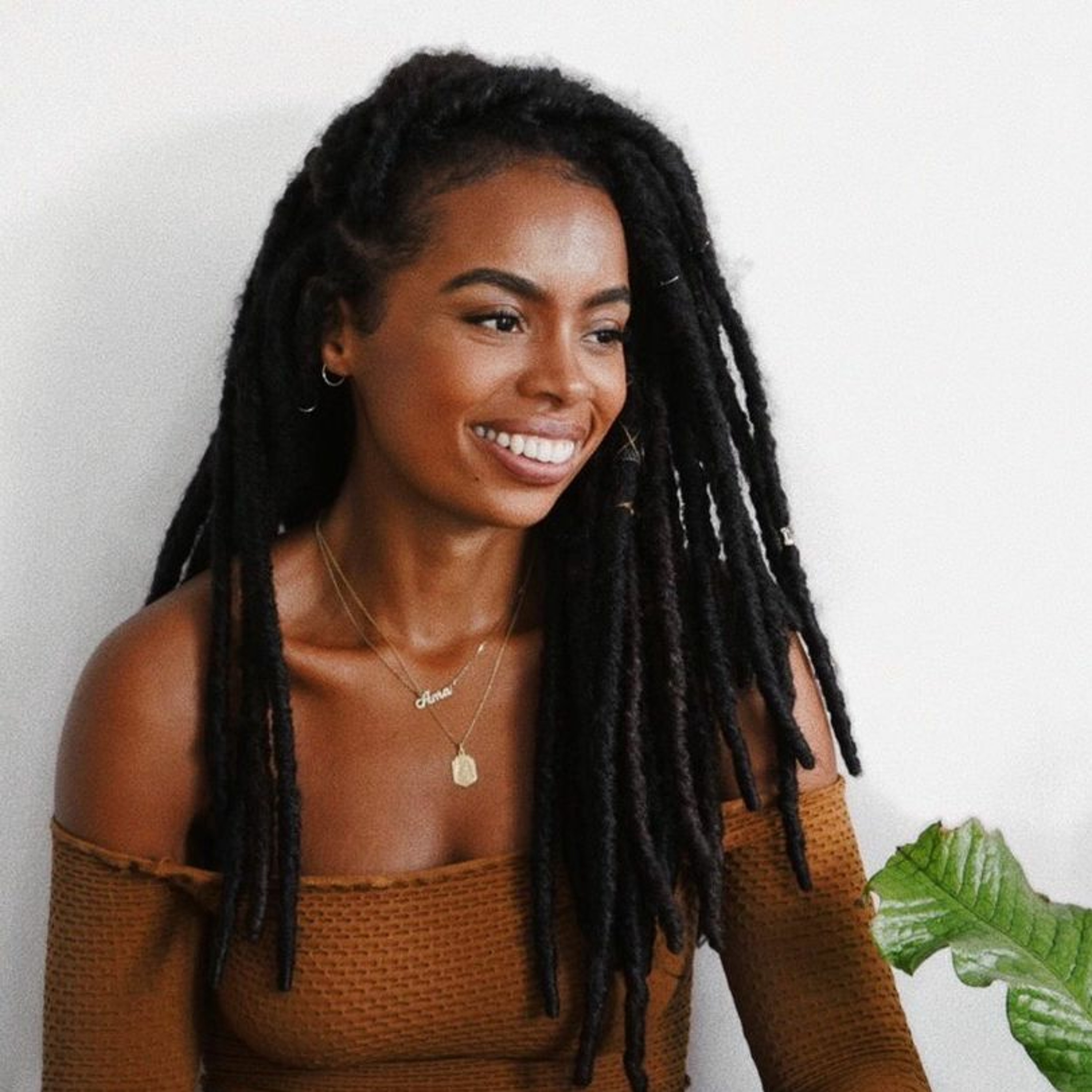 The Plant Based News Podcast