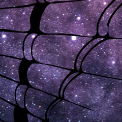 All Creatures Are Shady